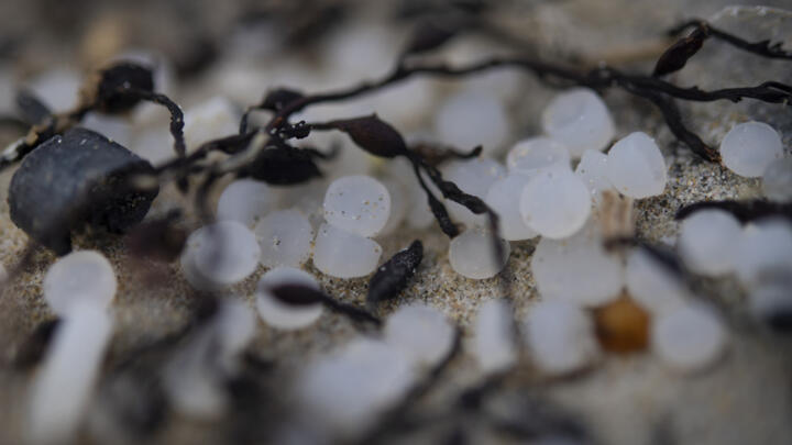 Industrial plastic granules known as 'mermaid tears' are scattered everywhere