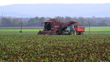 European farmers say Russian fertilizer is cheaper and easier to get